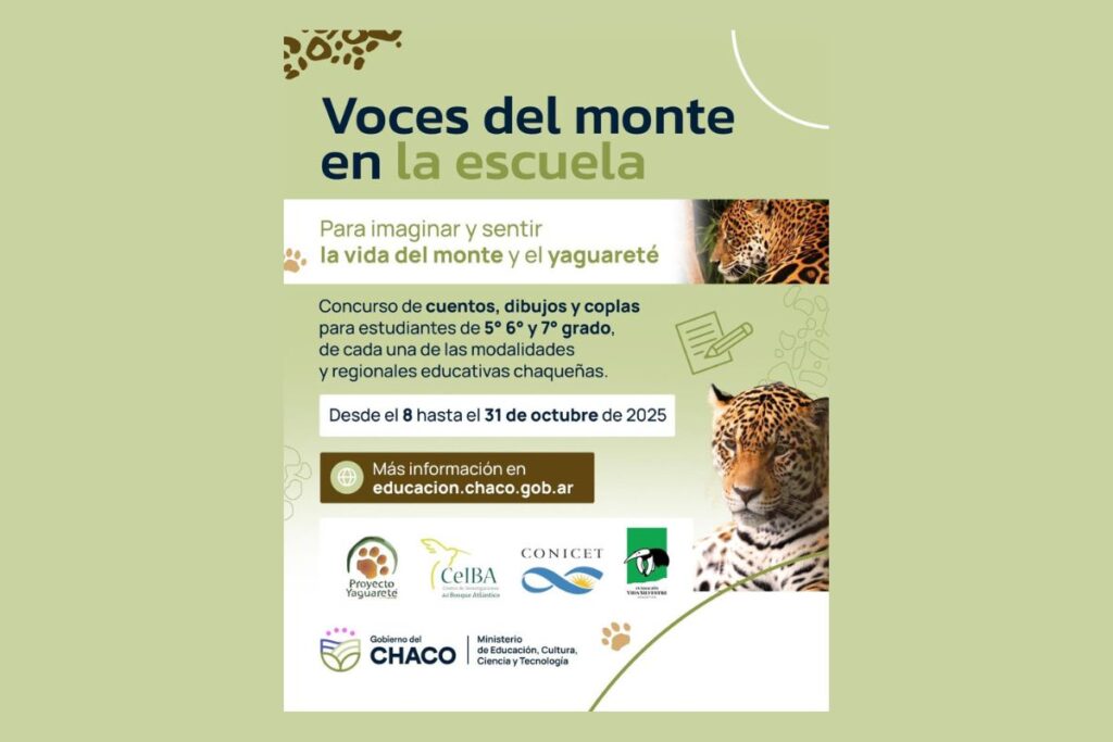 diseno-sin-titulo-1-68e6dba612373622389824