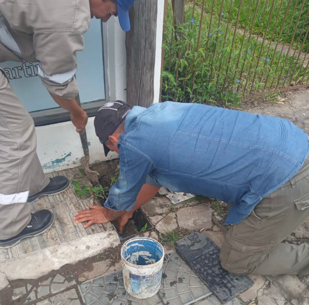 1000088291-690f8f3d901b1046737320