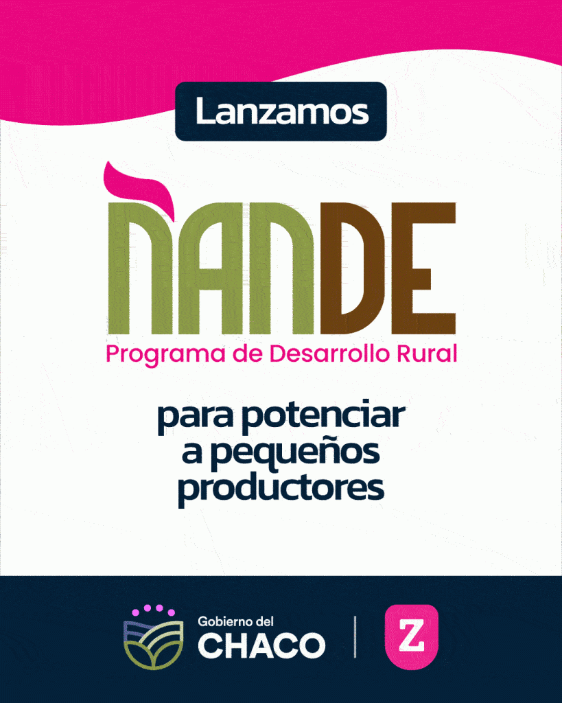 banners_ñande_1080x1350 (1)